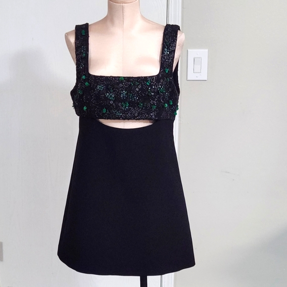 Zara Embroidered Yoke Dress, Limited Edition - Picture 7 of 12